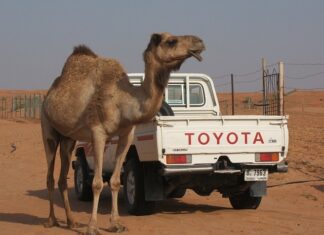 Ile pali Toyota Prius?